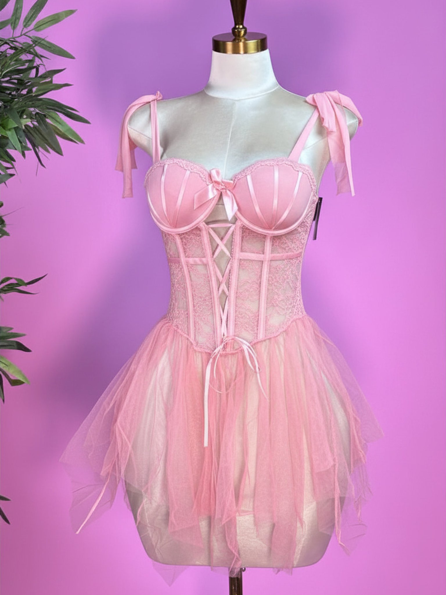 Romantic Lace & Tulle Corset Dress