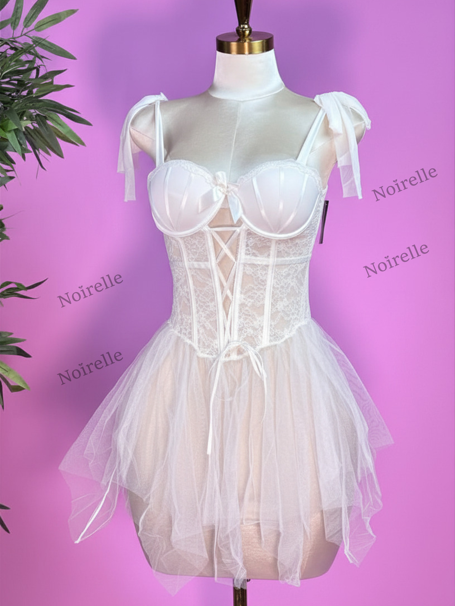 Romantic Lace & Tulle Corset Dress