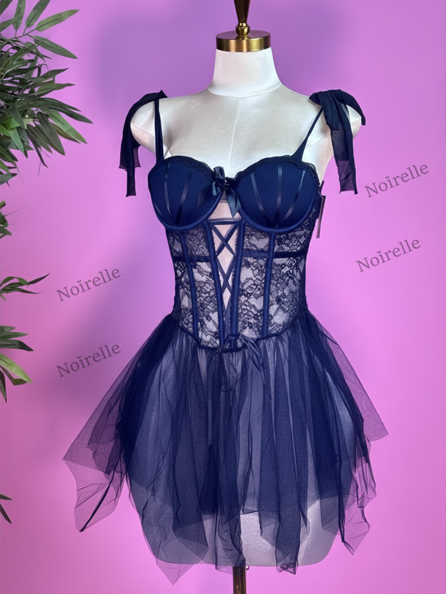 Romantic Lace & Tulle Corset Dress